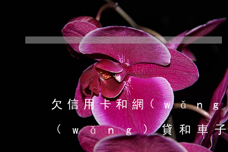 欠信用卡和網(wǎng)貸還有車貸(欠網(wǎng)貸和車子有關(guān)系嗎)