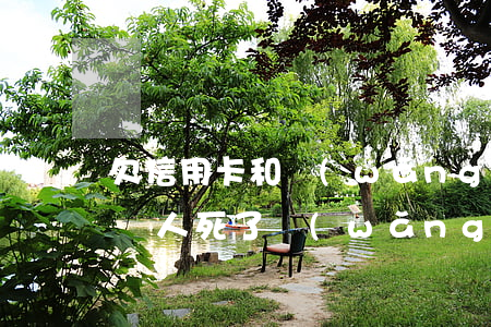欠信用卡和網(wǎng)貸錢人死了怎么辦(人死了網(wǎng)貸信用卡還用還嗎無財產(chǎn))
