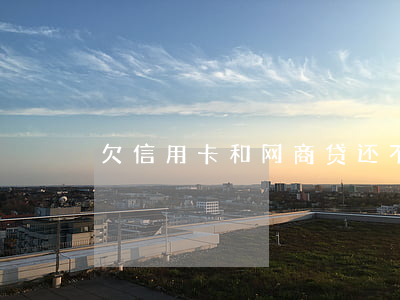 欠信用卡和网商贷还不上怎么办-
