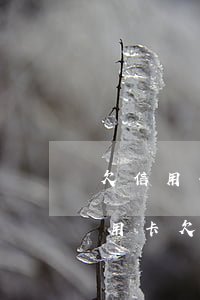 欠信用卡和网贷50万最坏的结果(网贷和信用卡欠了十几万,应该怎么办?)
