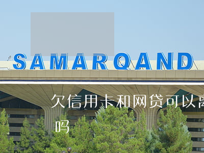 欠信用卡和网贷可以离婚吗(欠信用卡能离婚吗)