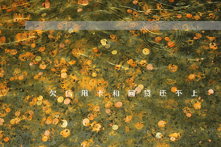 欠信用卡和网贷还不上