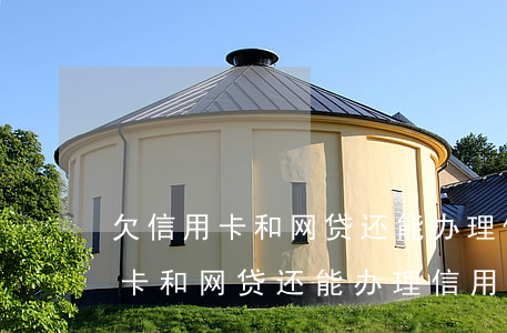 欠信用卡和网贷还能办理信用卡吗-欠信用卡和网贷还能办理信用卡吗知乎