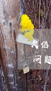欠信用卡和网贷逾期一年怎么办？解决逾期问题的有效方法