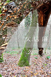 欠信用卡和銀行吵架(欠信用卡和銀行吵架怎么處理)