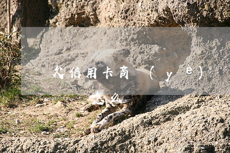 欠信用卡 商業(yè)貸款(欠信用卡貸款不還會怎么樣)