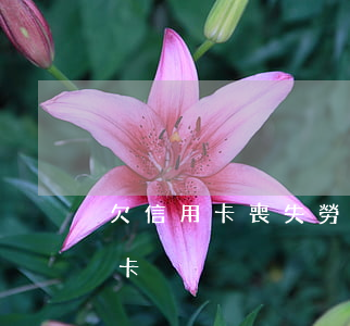 欠信用卡喪失勞動能力(失去工作能力欠信用卡)