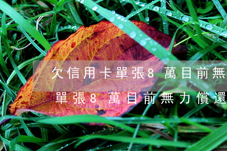 欠信用卡單張8萬目前無力償還-欠信用卡單張8萬目前無力償還怎么辦