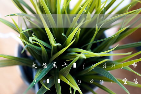 欠信用卡嚴(yán)重還是網(wǎng)貸嚴(yán)重（信用卡網(wǎng)貸全面逾期工資不夠還）