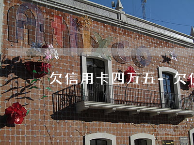 欠信用卡四万五-欠信用卡四万五会怎么样
