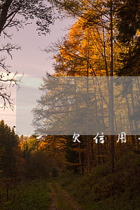 欠信用卡四万会坐牢吗（信用卡欠四万判几年）