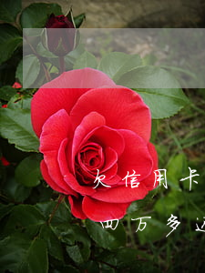 欠信用卡四万多还不上会怎么样-欠信用卡四万多还不上会怎么样吗