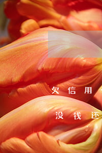 欠信用卡四万没钱还怎么处理(信用卡四万多没钱还,会产生什么后果?)