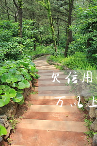欠信用卡四五万逾期多久会被起诉(信用卡5万以上逾期会被起诉吗?)