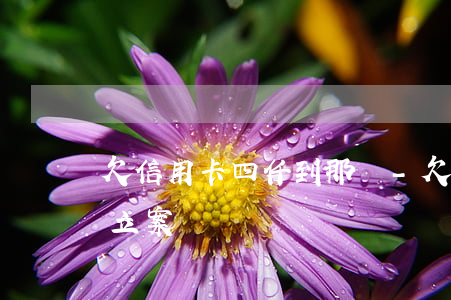 欠信用卡四仟到那還-欠信用卡四千元可以立案嗎