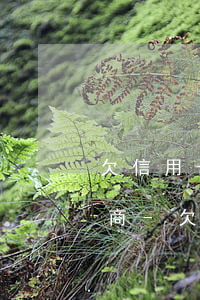 欠信用卡四個(gè)月怎么協(xié)商-欠信用卡四個(gè)月怎么協(xié)商還款