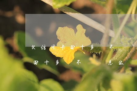 欠信用卡四十多萬不還會怎么樣-欠信用卡四十多萬不還會怎么樣嗎
