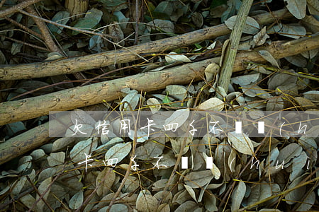 欠信用卡四千不還會(huì)怎樣(欠信用卡四千不還會(huì)怎樣)