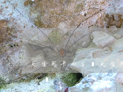 欠信用卡四千塊(欠信用卡四千塊錢還不上怎么辦)