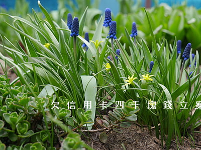 欠信用卡四千塊錢立案