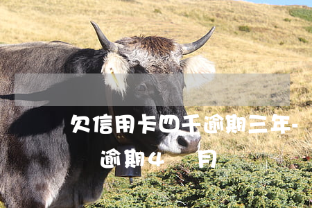 欠信用卡四千逾期三年-欠銀行信用卡欠4萬逾期4個月