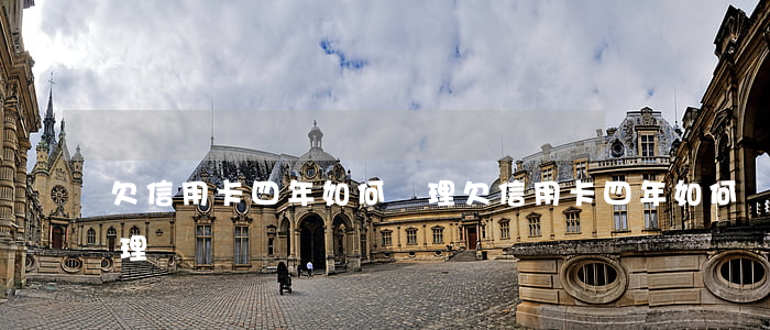 欠信用卡四年如何處理(欠信用卡四年如何處理)