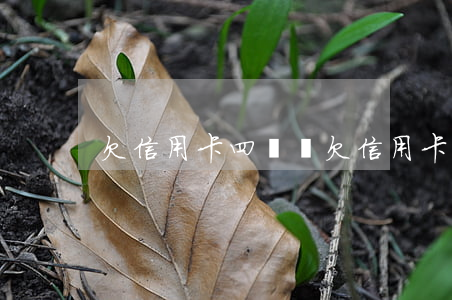 欠信用卡四萬塊(欠信用卡四萬塊錢怎么辦)