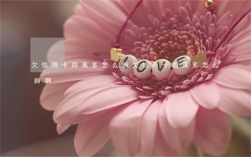欠信用卡四萬多怎么辦(欠信用卡四萬多怎么辦啊)