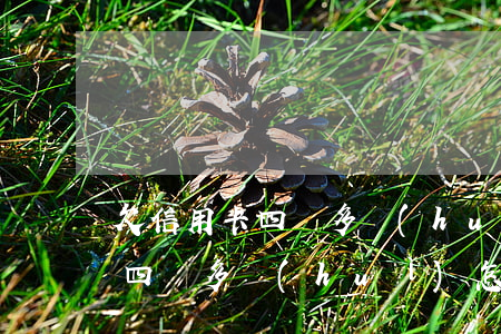 欠信用卡四萬多會(huì)怎樣(欠信用卡四萬多會(huì)怎樣處理)