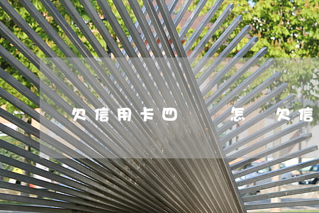 欠信用卡四萬會怎樣(欠信用卡4萬怎么自救)