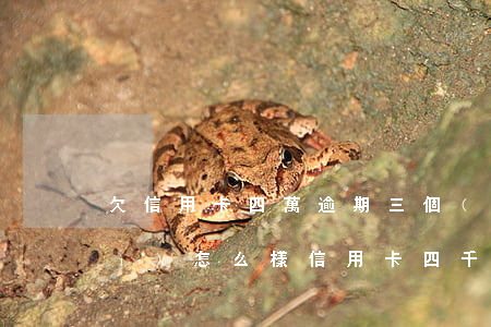 欠信用卡四萬逾期三個(gè)月會(huì)怎么樣（信用卡四千逾期幾個(gè)月）