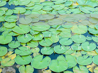 欠信用卡在辦儲(chǔ)蓄卡會(huì)怎么樣（欠信用卡辦新卡）