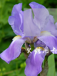 欠信用卡坐地鐵(欠信用卡可以坐地鐵嗎)