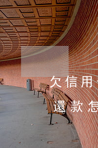 欠信用卡坐牢了還要還嗎（信用卡逾期坐牢后還款怎么辦）