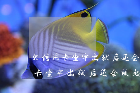 欠信用卡坐牢出狱后还会被起诉吗-欠信用卡坐牢出狱后还会被起诉吗知乎