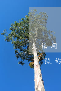 欠信用卡坐牢逾期了怎么辦(坐牢導(dǎo)致的信用卡逾期征信怎么處理)