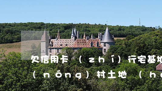 欠信用卡 執(zhí)行宅基地(欠信用卡農(nóng)村土地會(huì)被拍賣么)