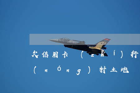 欠信用卡 執(zhí)行宅基地(欠信用卡農(nóng)村土地會被拍賣么)