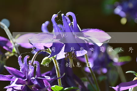 欠信用卡外包公司抓人 外包公司有權利減免信用卡利息嗎