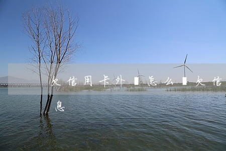 欠信用卡外幣怎么還(欠信用卡外幣怎么還利息)