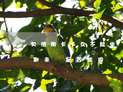 欠信用卡多久不能坐飛機(jī)（信用卡逾期未還是否能做飛機(jī)）