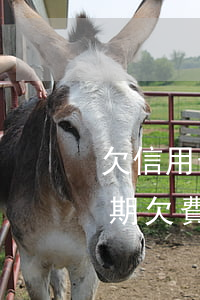 欠信用卡多久不能坐飛機(jī)（信用卡逾期欠費(fèi)可以坐飛機(jī)嗎）