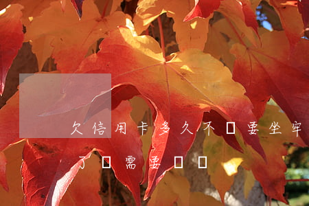 欠信用卡多久不還要坐牢(欠信用卡的錢坐牢了還需要還嗎)