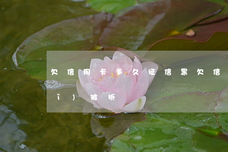 欠信用卡多久征信黑 欠信用卡多久會(huì)被抓