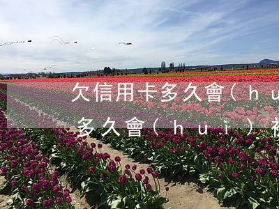 欠信用卡多久會(huì)上失信(欠信用卡多久會(huì)被拉黑名單)