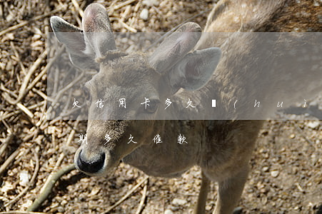 欠信用卡多久會(huì)被催收（信用卡逾期多久催款）