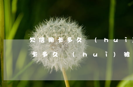 欠信用卡多久會(huì)變壞賬-欠信用卡多久會(huì)被起訴?