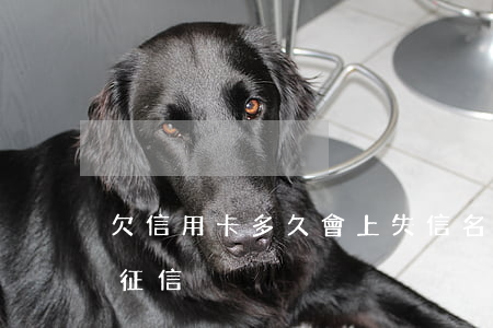 欠信用卡多久會上失信名單（信用卡欠幾十上征信）