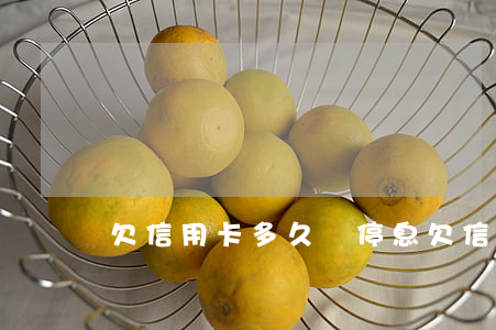 欠信用卡多久會停息 欠信用卡多久會停息