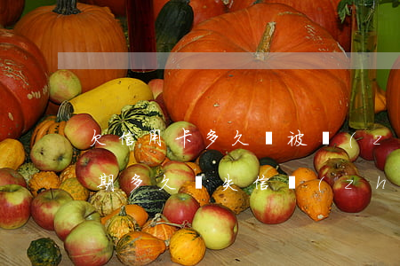 欠信用卡多久會被執(zhí)行（信用卡逾期多久會失信執(zhí)行人）